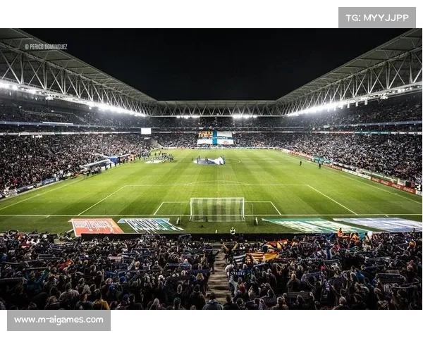 西班牙人对阵塞尔塔，RCDE球场迎战加利西亚球队